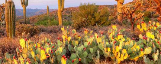 Hispanic Heritage on Public Lands