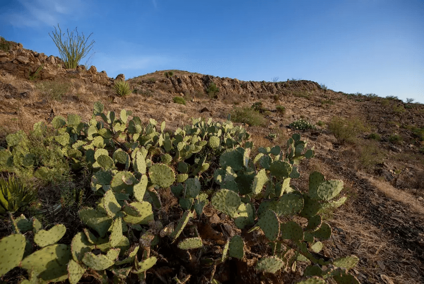 NEWS FEATURE - El Paso celebrates second anniversary of Castner Range as national monument
