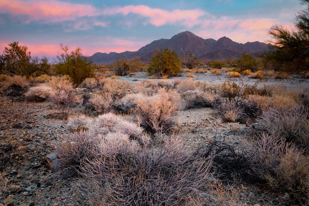 The Mobilizing for Monuments Road Trip: A Journey to Protect Our National Monuments