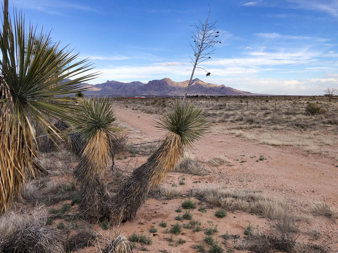 Antiquities Act Benefit Us All